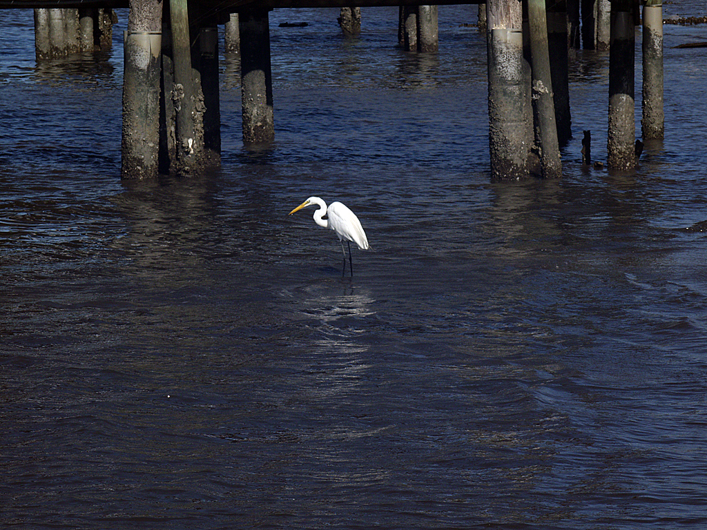 Jacksonville, Florida