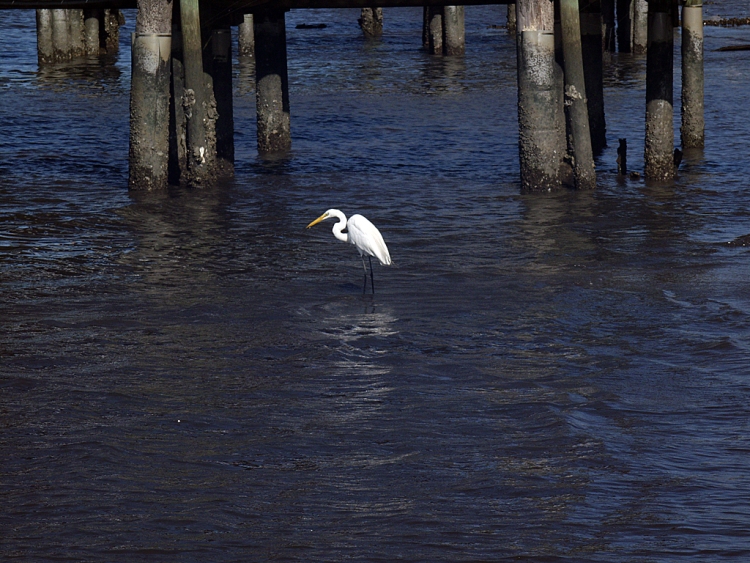 Jacksonville, Florida