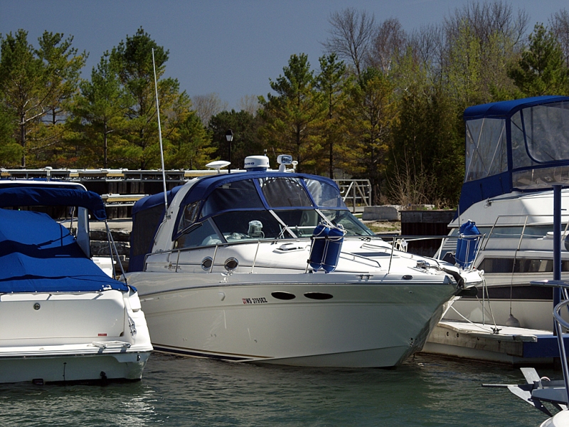 P4271766.jpg