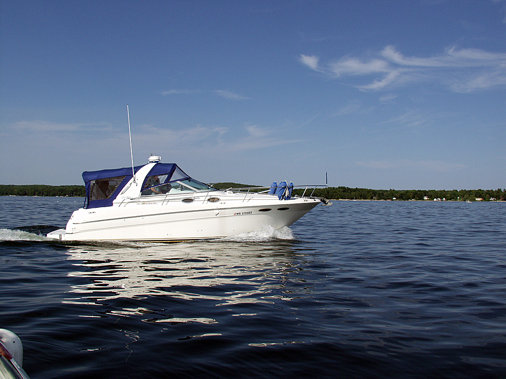 P7291972.jpg