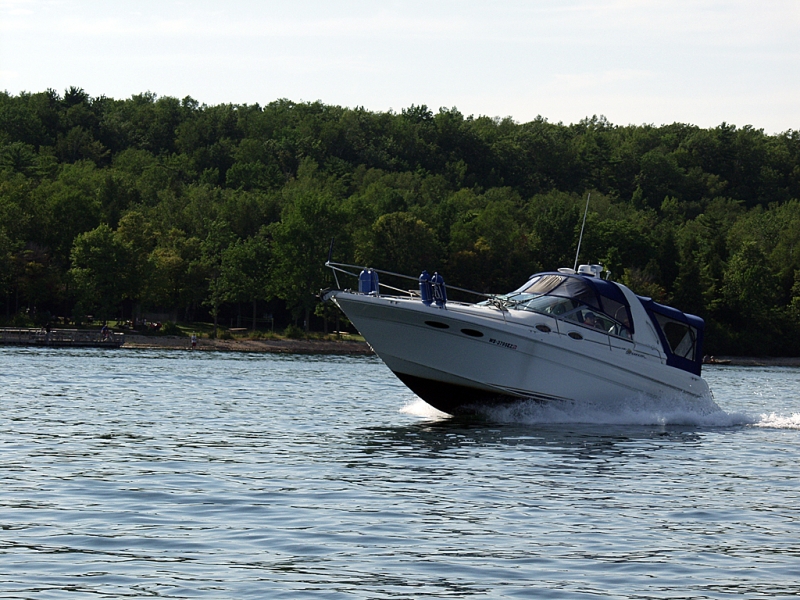 P7291975.jpg