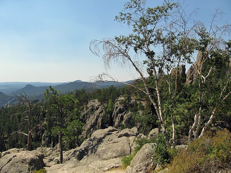 Needles Highway