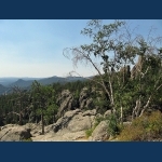 Needles Highway