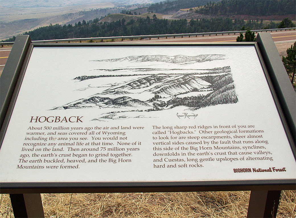 Bighorn National Forest