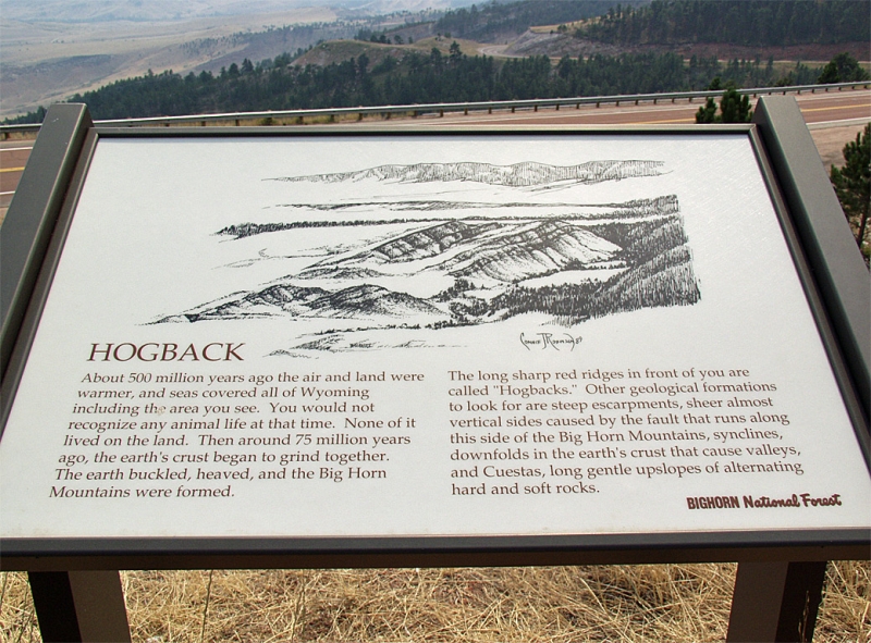 Bighorn National Forest
