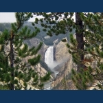 Yellowstone Falls