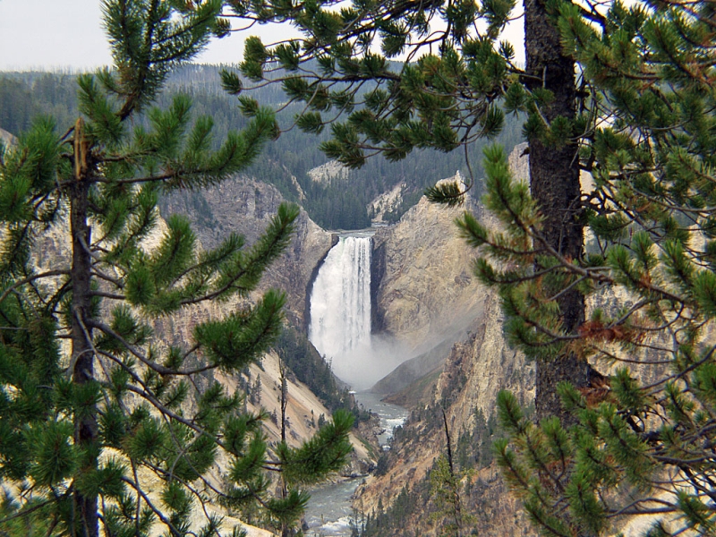 Yellowstone Falls
