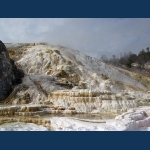 Mammoth Hot Springs Terraces