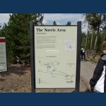 Norris Geyser Basin