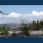 Norris  Geyser Basin