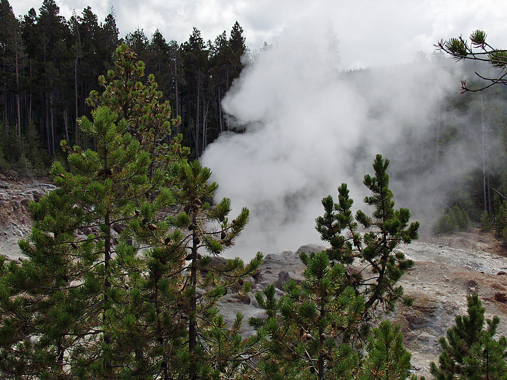 Steamboat Geyser