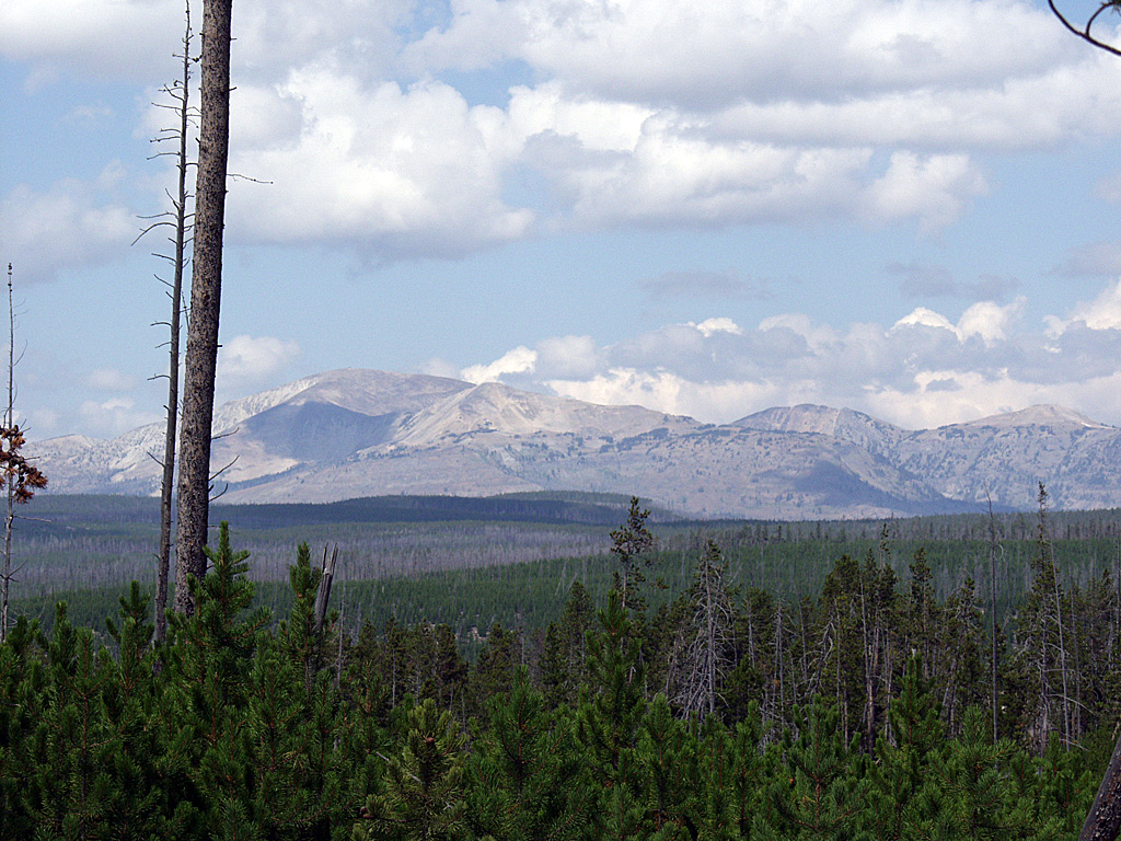 Norris  Geyser Basin