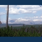 Norris  Geyser Basin