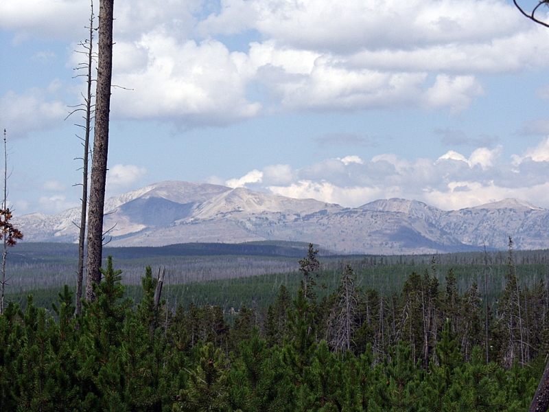 Norris  Geyser Basin