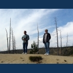 Norris  Geyser Basin
