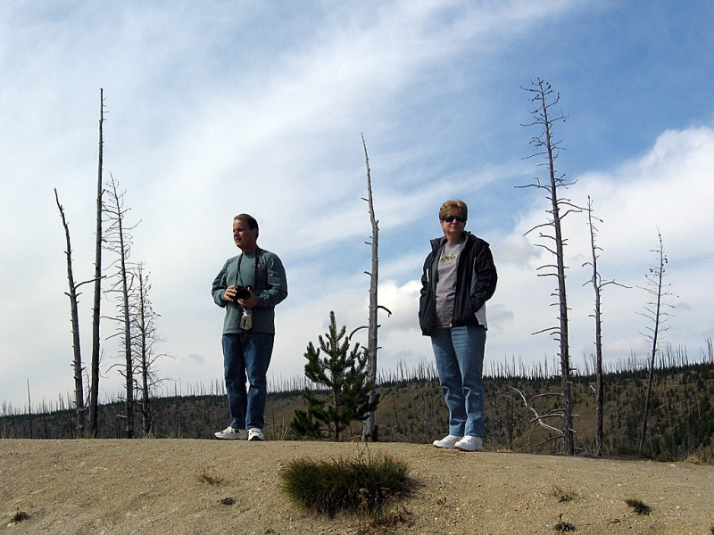 Norris  Geyser Basin