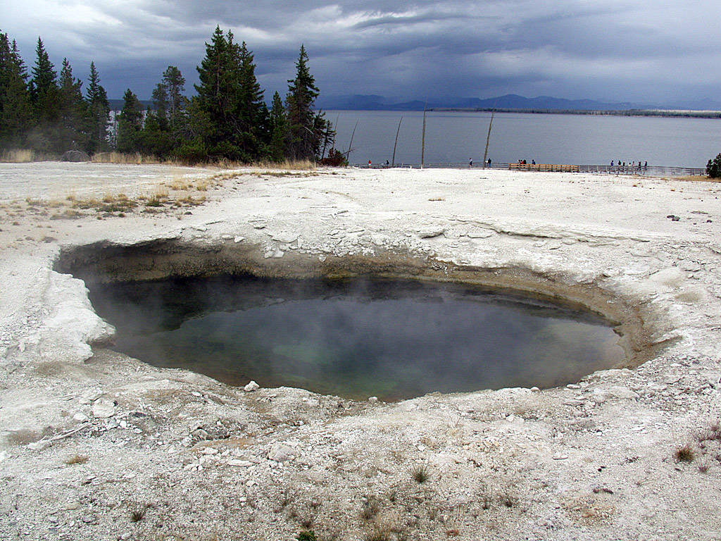 Blue Funnel Spring