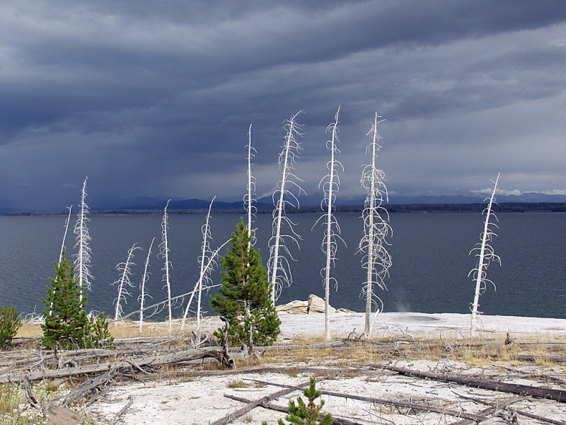 Yellowstone Lake