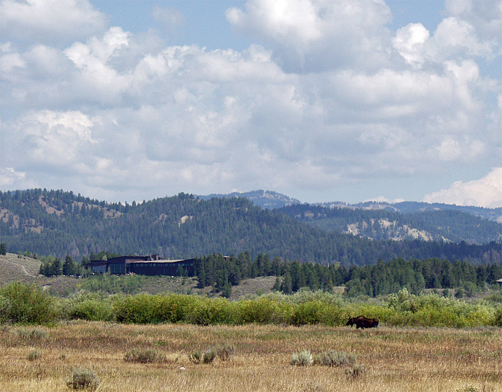 Teton Park Road