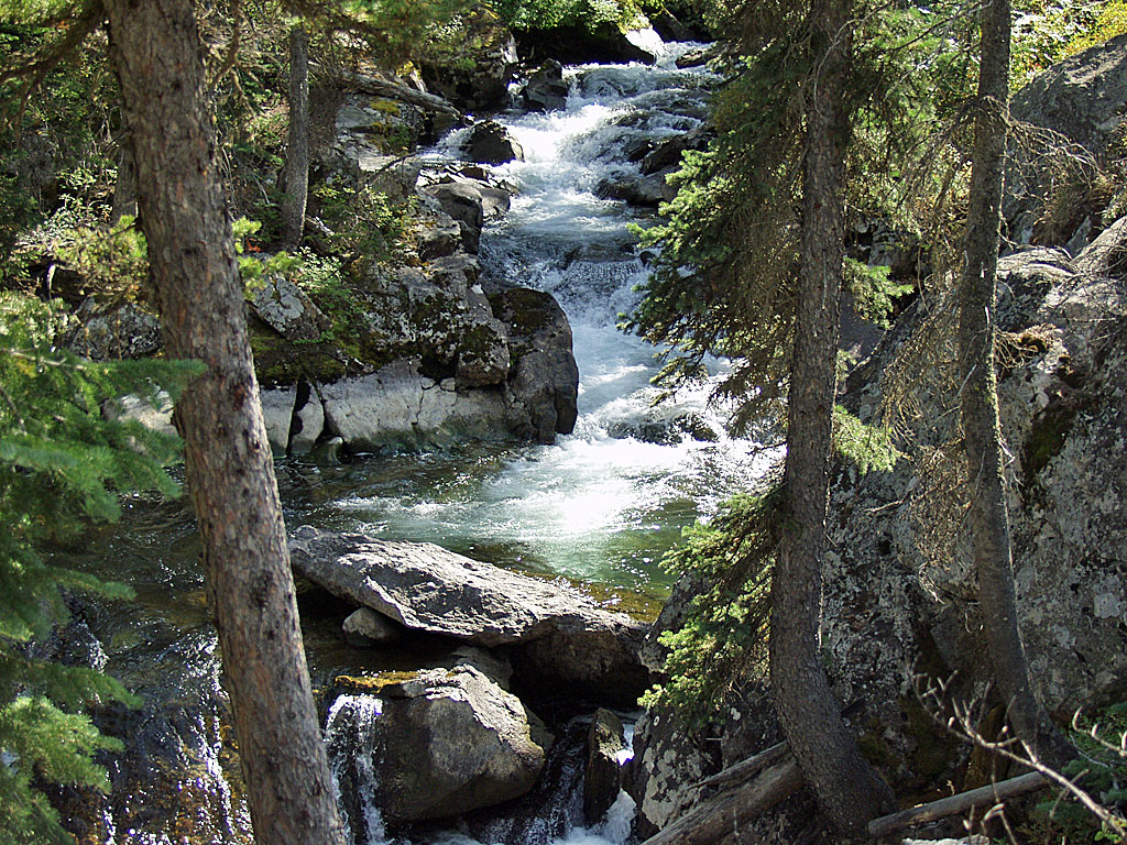 Hidden Creek