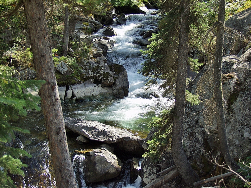 Hidden Creek