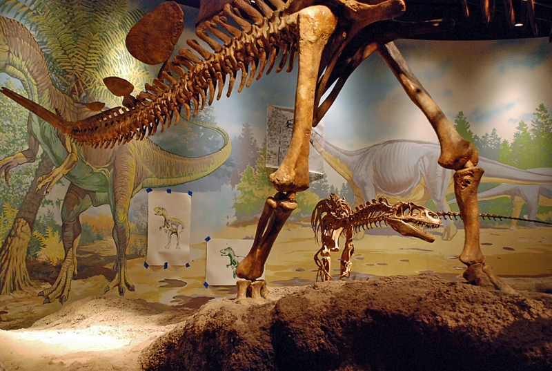 Utah Field House Of Natural History State Park Museum