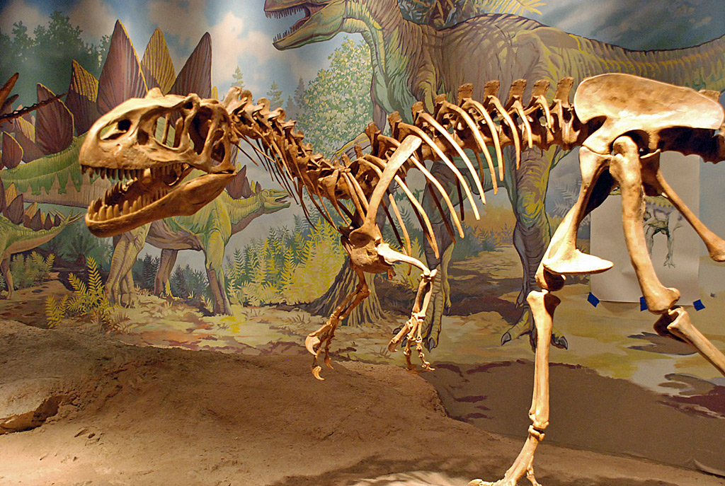 Utah Field House Of Natural History State Park Museum