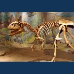 Utah Field House Of Natural History State Park Museum