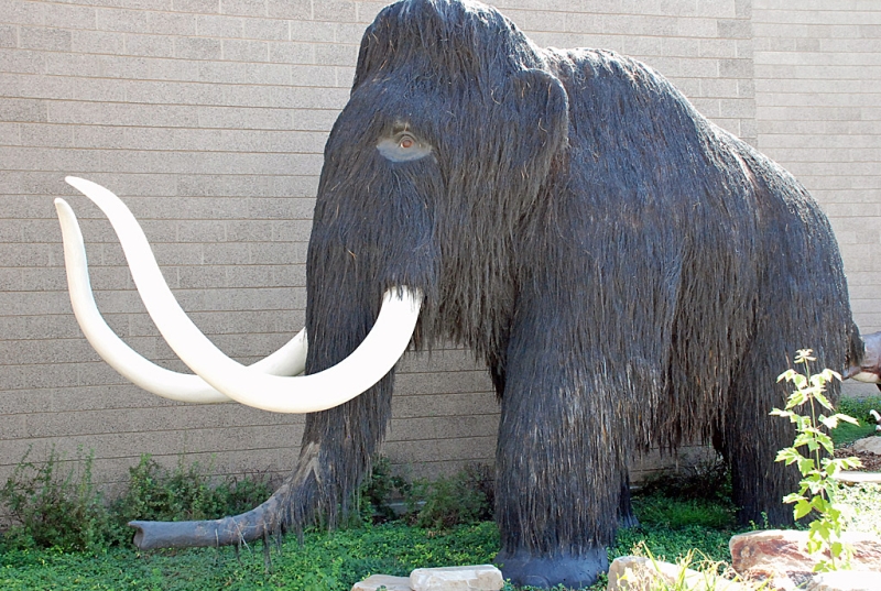 Utah Field House Of Natural History State Park Museum