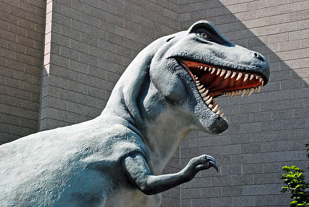 Utah Field House Of Natural History State Park Museum