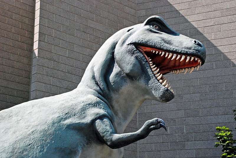 Utah Field House Of Natural History State Park Museum