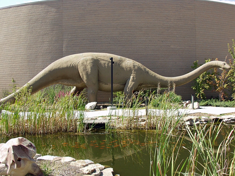 Utah Field House Of Natural History State Park Museum
