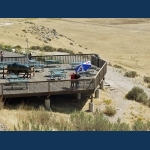 Antelope Island