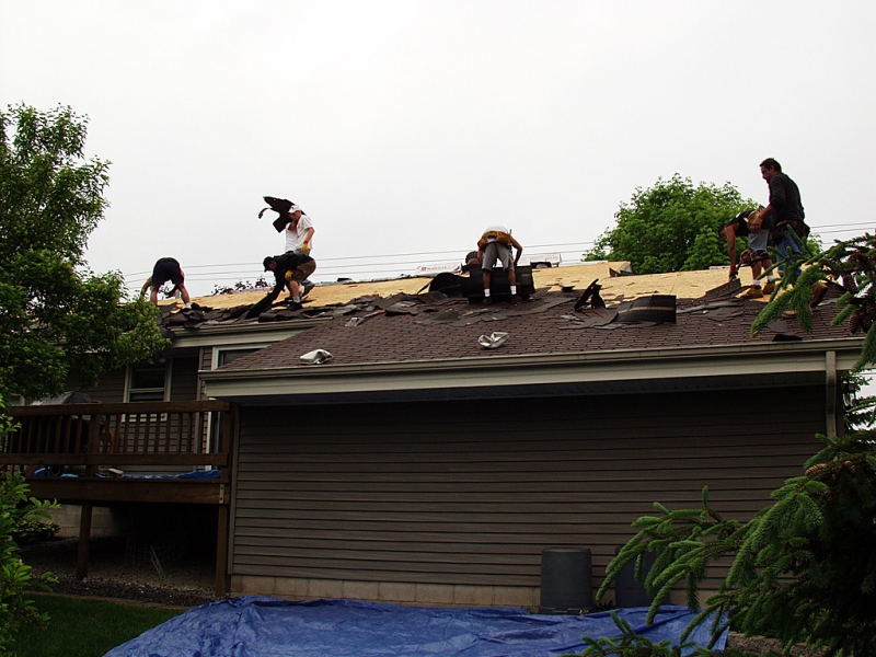 Shingle removal