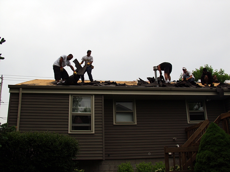 Shingle removal