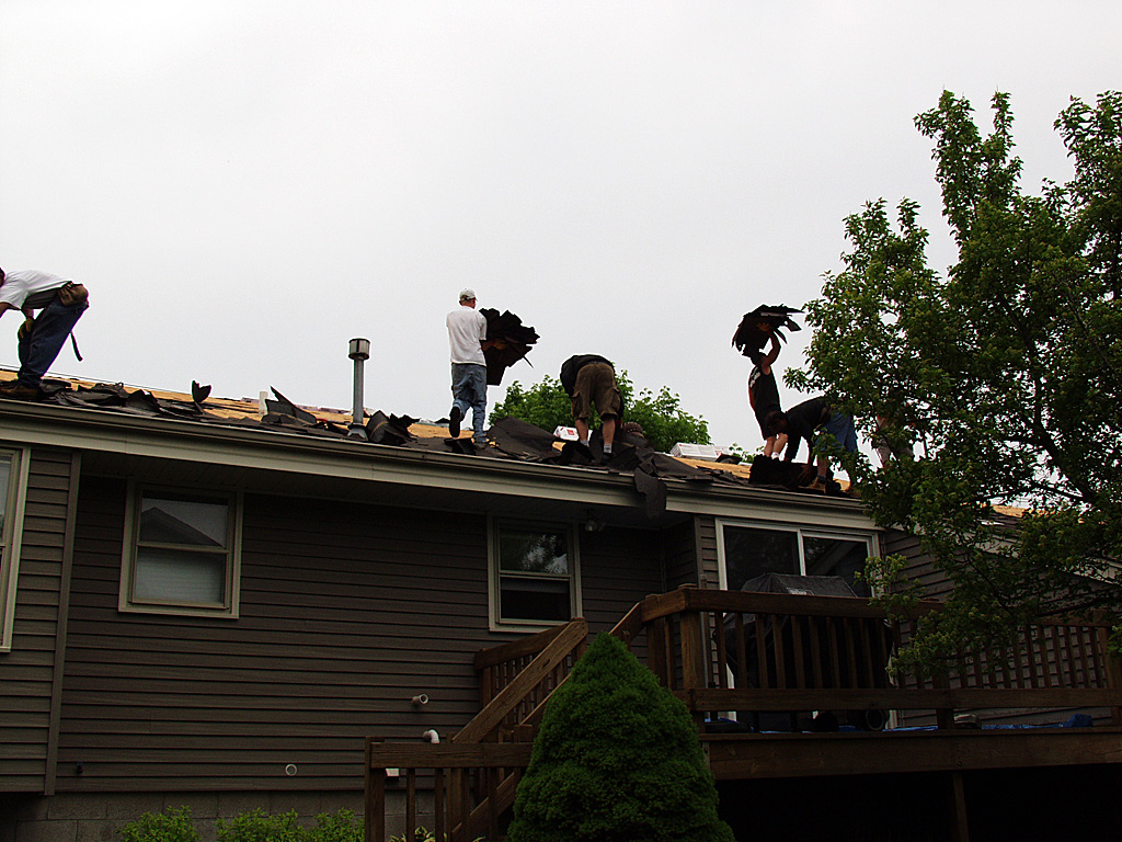 Shingle removal