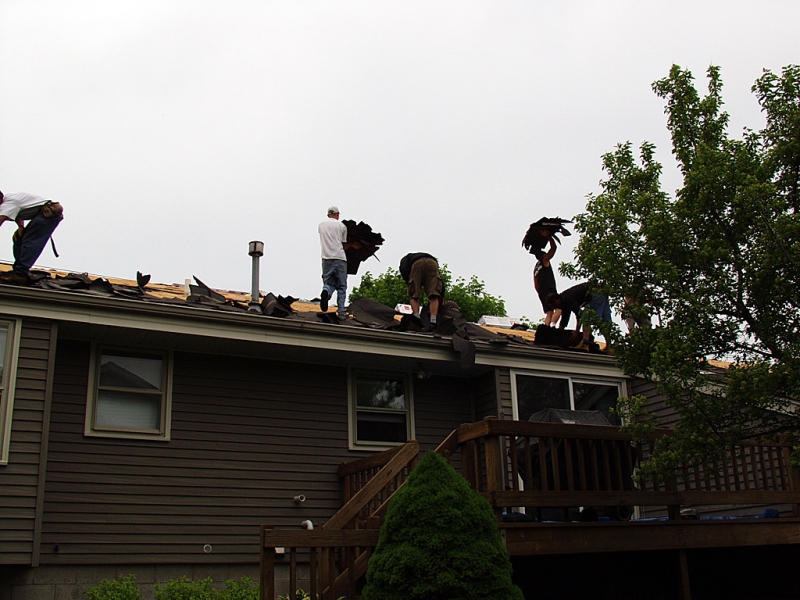 Shingle removal