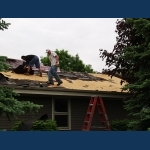 Shingle removal