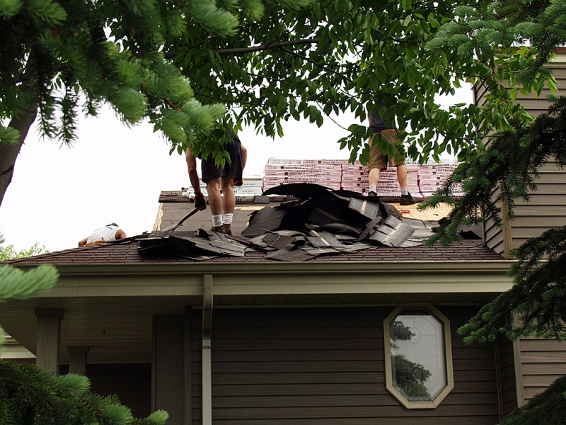 Shingle removal