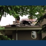 Shingle removal