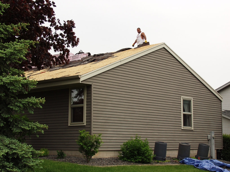 Shingle removal