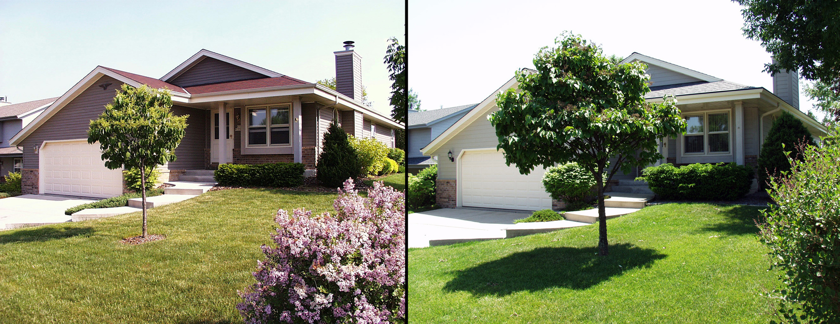 Before and After....