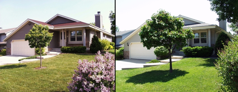 Before and After....