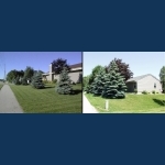 Before and After....