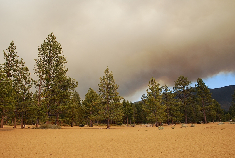 Angora Fire