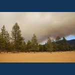Angora Fire