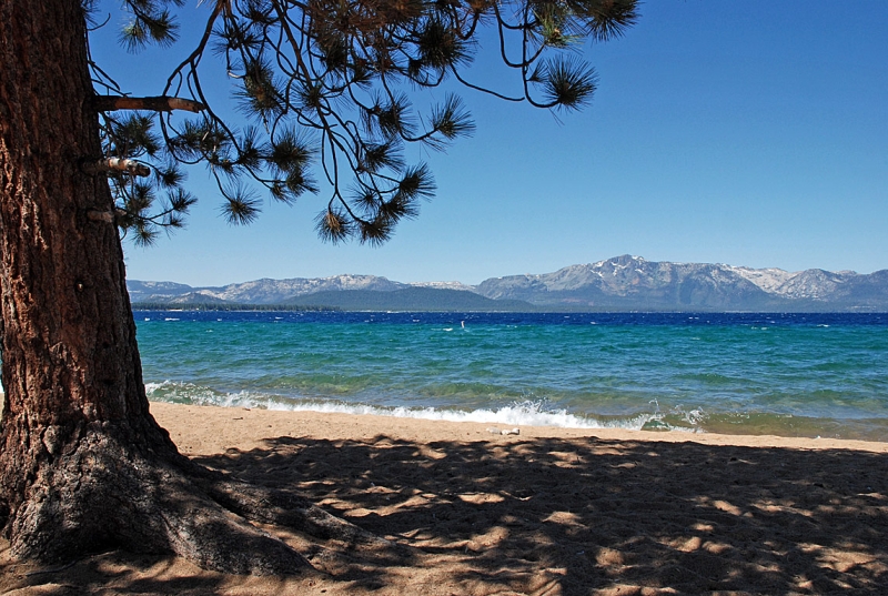 Nevada Beach