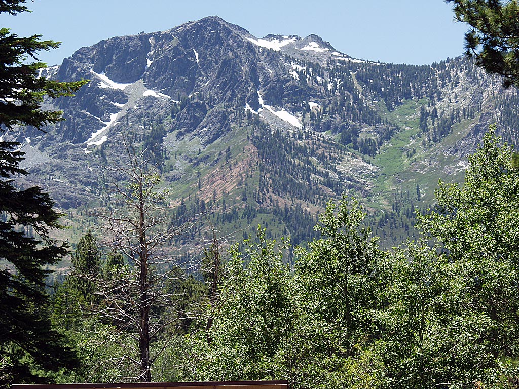 Taylor Creek