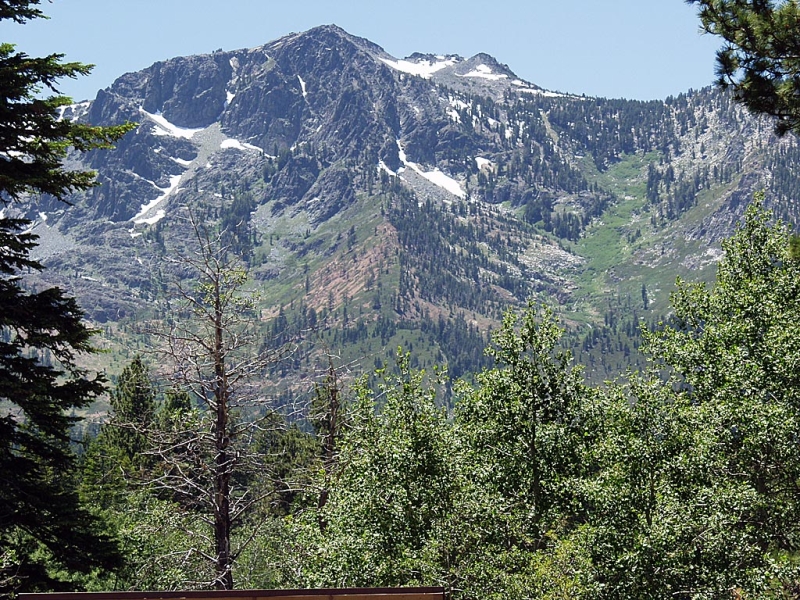 Taylor Creek