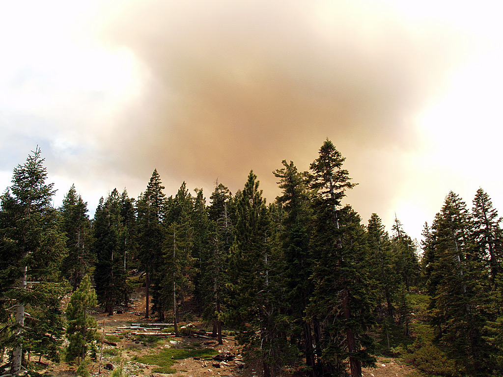 Angora Fire